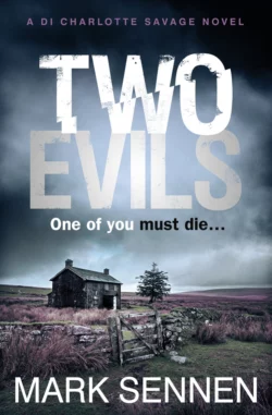 Two Evils: A DI Charlotte Savage Novel, Mark Sennen