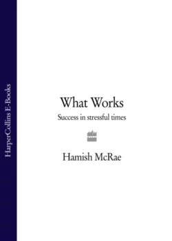 What Works: Success in Stressful Times, Hamish McRae