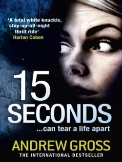 15 Seconds, Andrew Gross