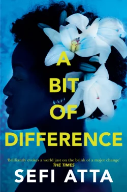 A Bit of Difference, Sefi Atta