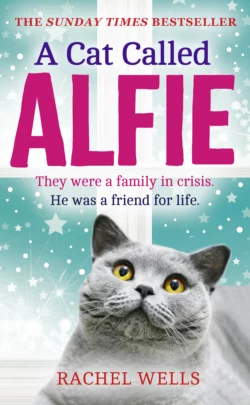 A Cat Called Alfie, Rachel Wells