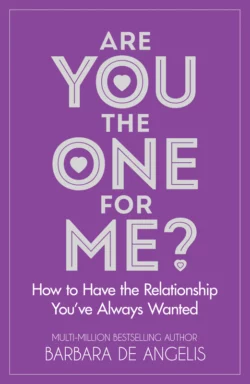 Are You the One for Me?, Barbara Angelis