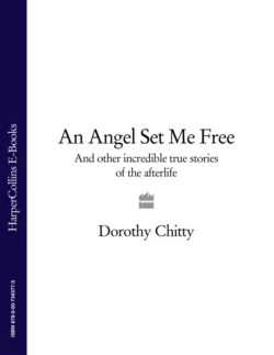 An Angel Set Me Free: And other incredible true stories of the afterlife Dorothy Chitty