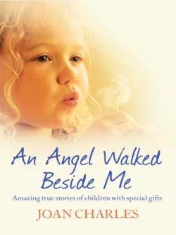 An Angel Walked Beside Me: Amazing stories of children who touch the other side, Joan Charles