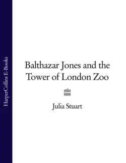 Balthazar Jones and the Tower of London Zoo Julia Stuart