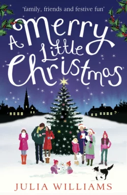 A Merry Little Christmas, Julia Williams