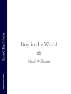 Boy in the World Niall Williams