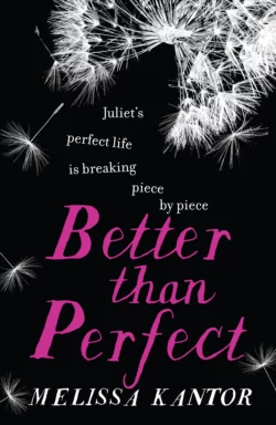 Better than Perfect, Melissa Kantor