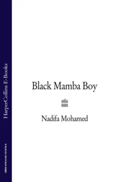 Black Mamba Boy Nadifa Mohamed