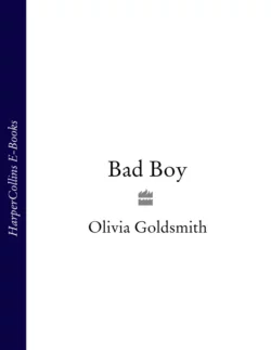 Bad Boy Olivia Goldsmith