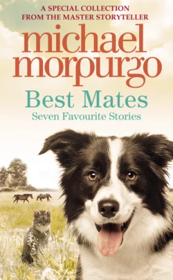 Best Mates, Michael Morpurgo