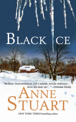 Black Ice, Anne Stuart