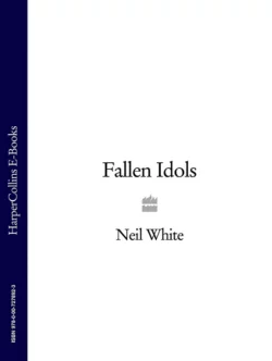 FALLEN IDOLS, Neil White