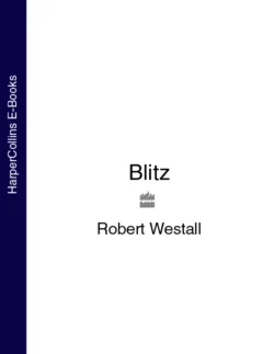 Blitz, Robert Westall