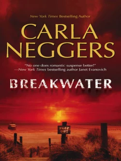 Breakwater, Carla Neggers