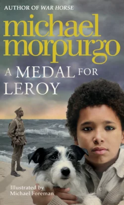 A Medal for Leroy, Michael Morpurgo