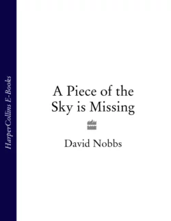 A Piece of the Sky is Missing, David Nobbs