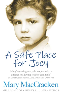 A Safe Place for Joey, Mary MacCracken