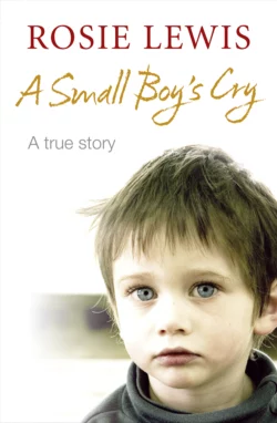 A Small Boy’s Cry, Rosie Lewis