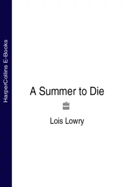 A Summer to Die, Lois Lowry