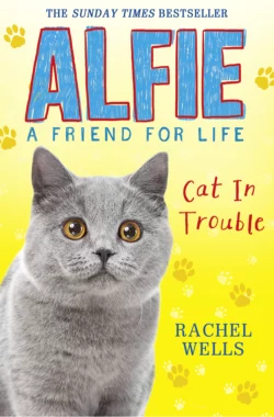 Alfie Cat In Trouble, Rachel Wells