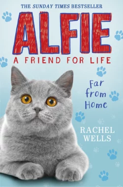 Alfie Far From Home, Rachel Wells