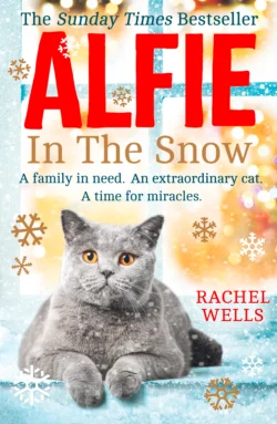 Alfie in the Snow, Rachel Wells