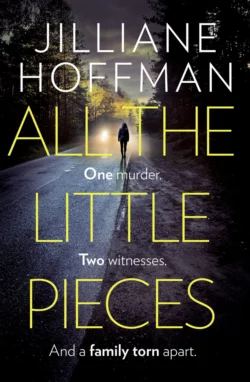 All the Little Pieces, Jilliane Hoffman