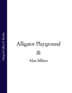 Alligator Playground Alan Sillitoe