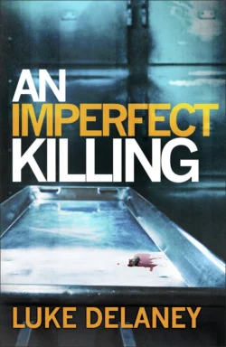 An Imperfect Killing, Luke Delaney