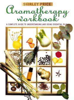 Aromatherapy Workbook Shirley Price