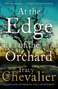 At the Edge of the Orchard, Tracy Chevalier