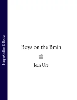 Boys on the Brain, Jean Ure