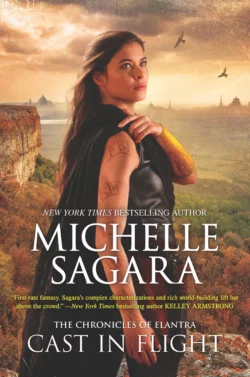 Cast In Flight Michelle Sagara