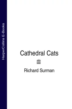 Cathedral Cats Richard Surman