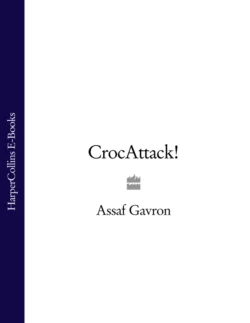 CrocAttack!, Assaf Gavron