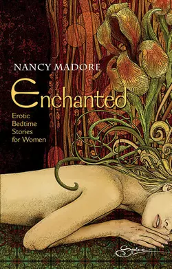 Enchanted: Erotic Bedtime Stories For Women Nancy Madore