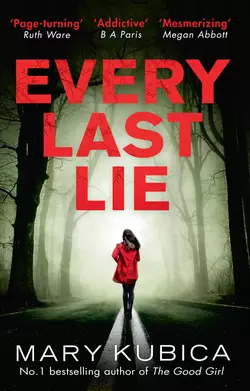 Every Last Lie, Mary Kubica