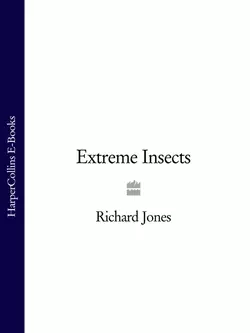 Extreme Insects, Richard Jones