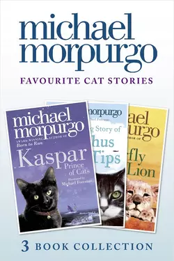 Favourite Cat Stories: The Amazing Story of Adolphus Tips  Kaspar and The Butterfly Lion Michael Morpurgo