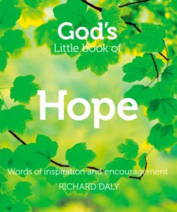 God’s Little Book of Hope Richard Daly