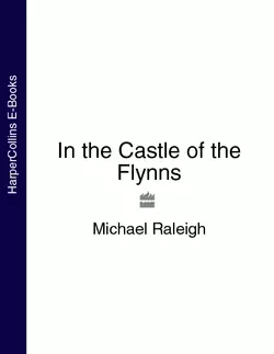 In the Castle of the Flynns Michael Raleigh