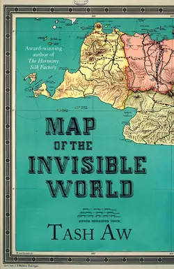 Map of the Invisible World Tash Aw