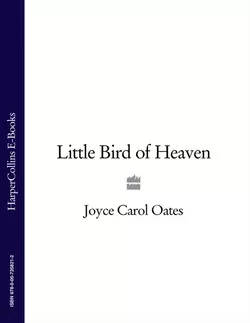 Little Bird of Heaven, Joyce Oates