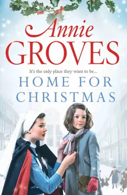 Home for Christmas, Annie Groves