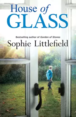 House of Glass, Sophie Littlefield