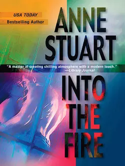 Into The Fire, Anne Stuart