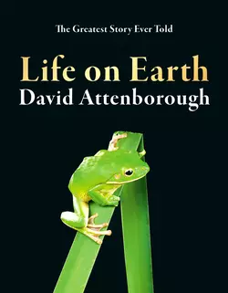 Life on Earth, David Attenborough