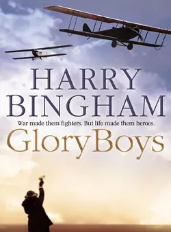 Glory Boys Harry Bingham