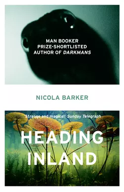 Heading Inland, Nicola Barker